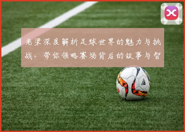 老梁深度解析足球世界的魅力与挑战，带你领略赛场背后的故事与智慧